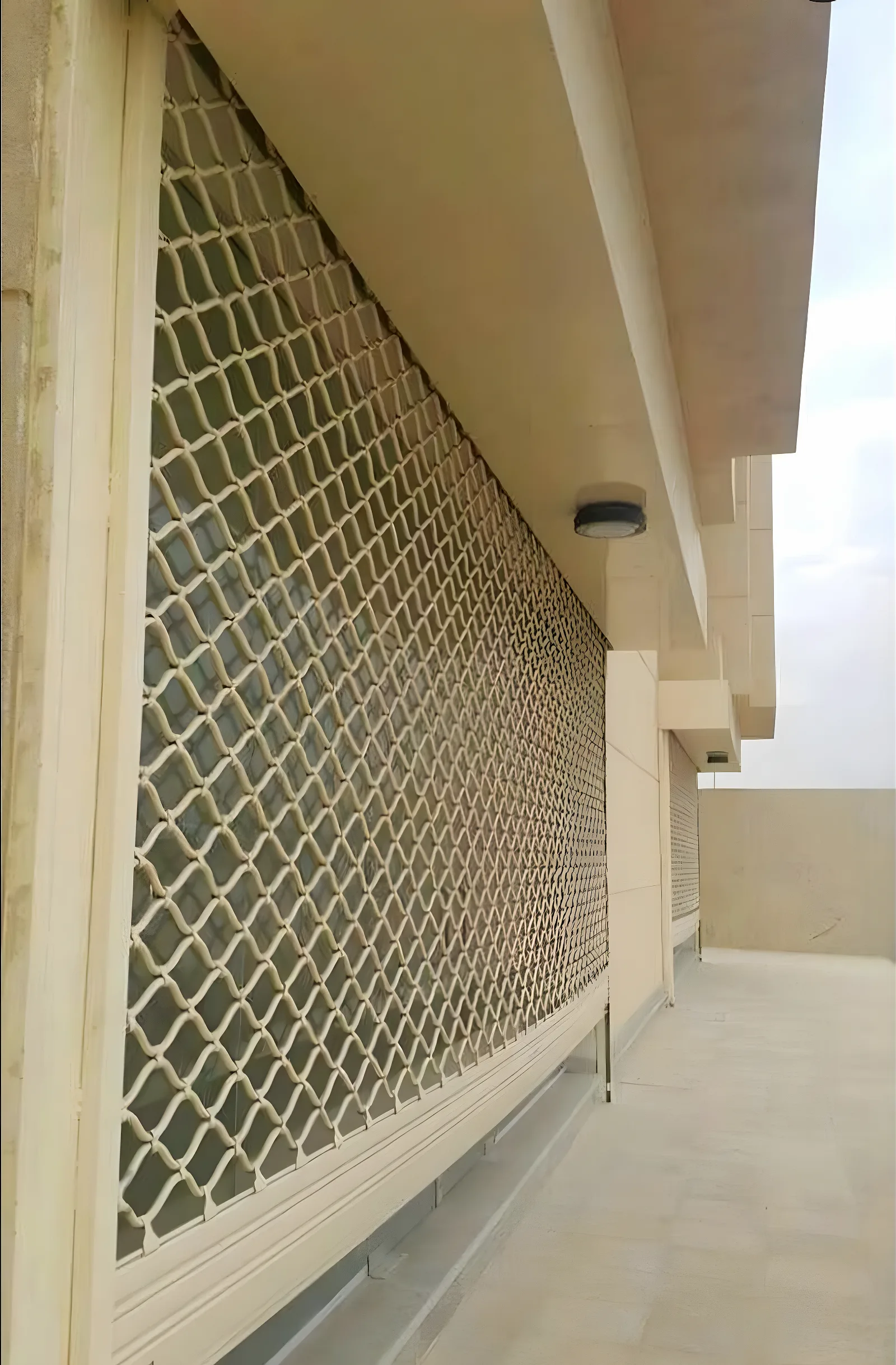 الشترات في الرياض